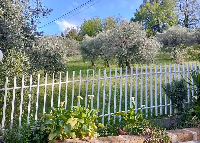 Chiara Oda ve Kahvaltı